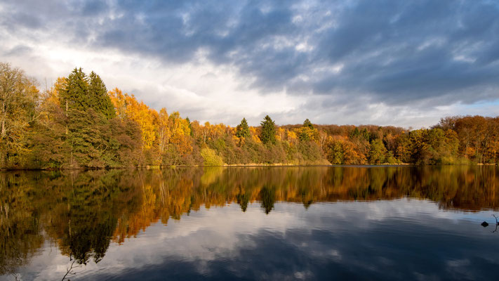 Postweiher, 11.02.2022