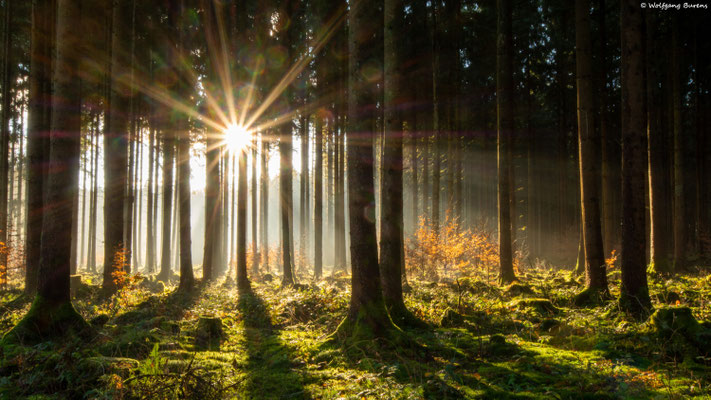 "Wintersonnenaufgang"