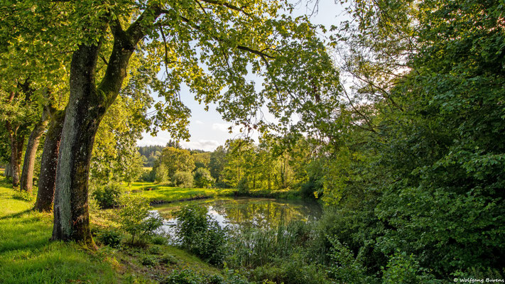 Hälderteiche am Hausweiher, 07.08.2023