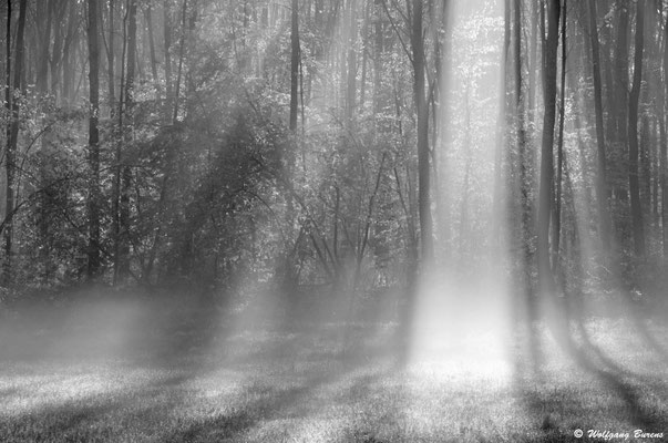 Septemberlicht