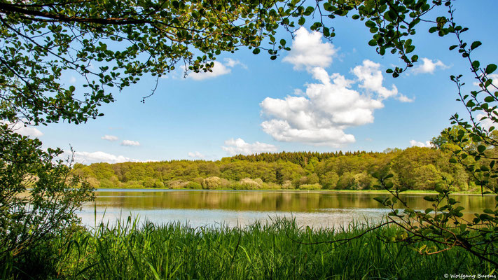 Hofmannsweiher, 25.05.2019