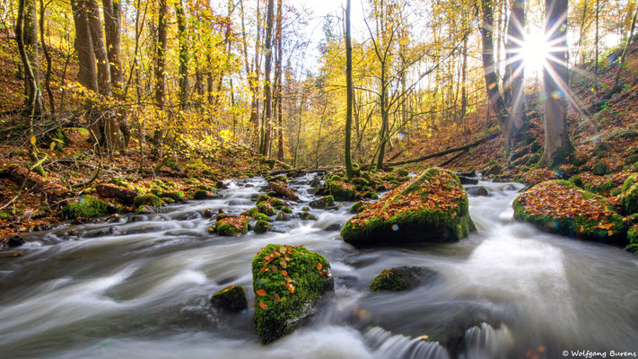 Holzbachschlucht