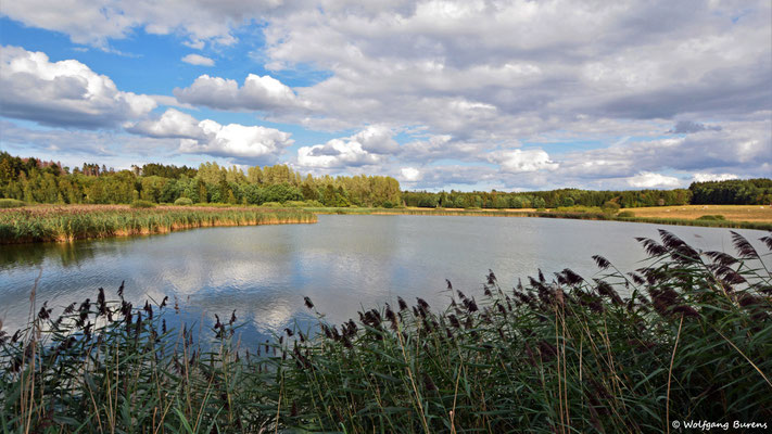 Wölferlinger Weiher, 22.08.2020
