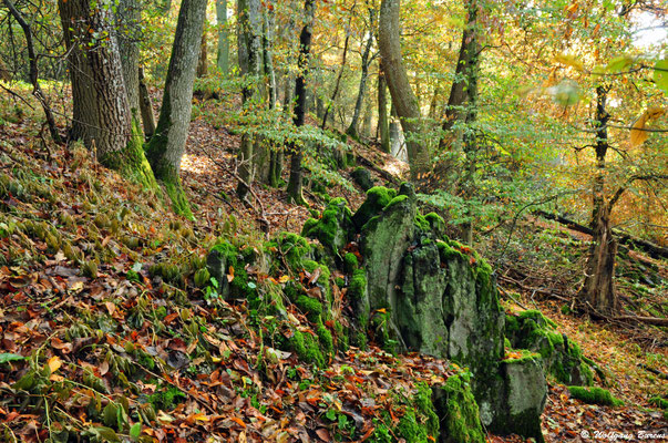 "Schänzchen", Steinen