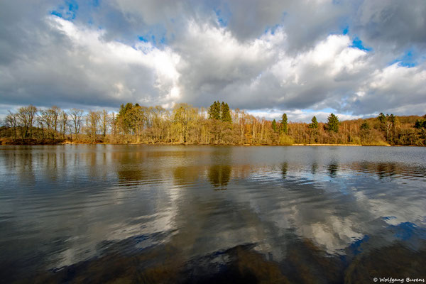"Frühlingserwachen", Postweiher am 11.01.2022