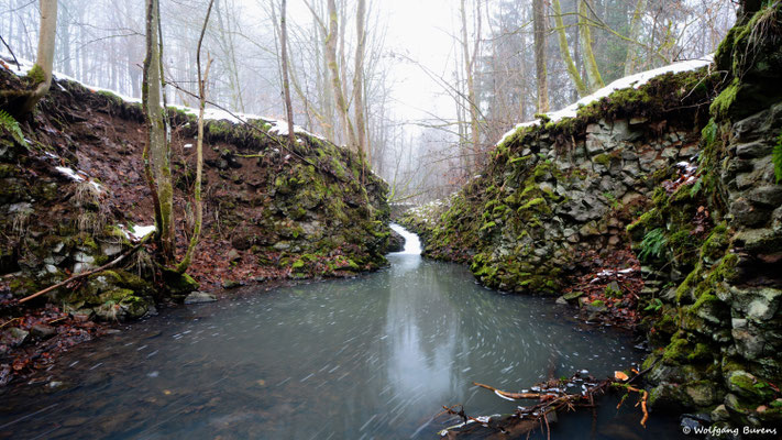 Schwarze Nister