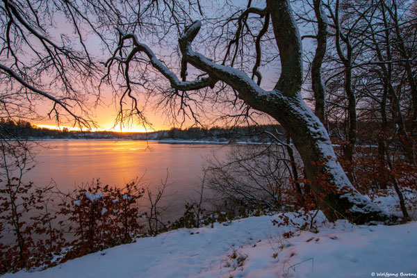 Haidenweiher, 10.01.2025