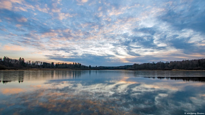 Haidenweiher, 08.02.2025