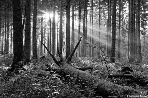 "Allverbundenheit"