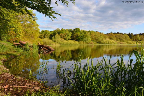 Haidenweiher, 15.05.2019
