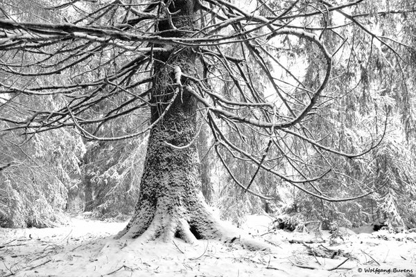 Hoher Westerwald