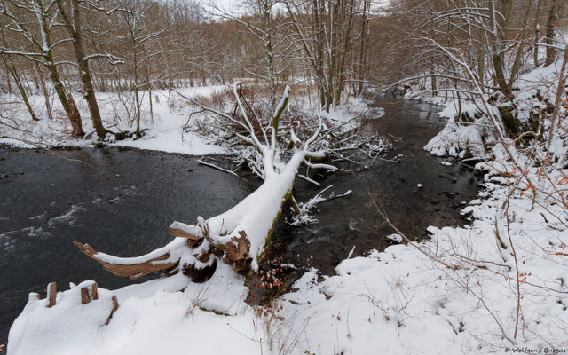 an der Großen Nister