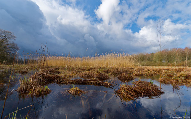Haidenweiher