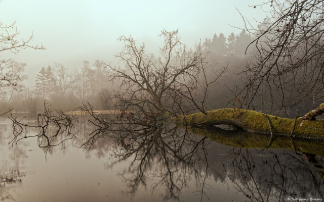 Am Moorweiher