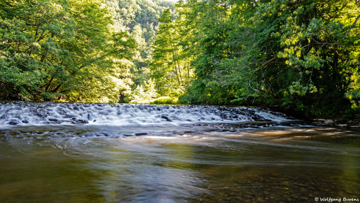 Große Nister, Stein-Wingert