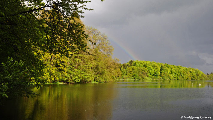Postweiher, 09.05.2015