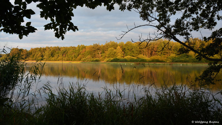 Haidenweiher 11.09.2019