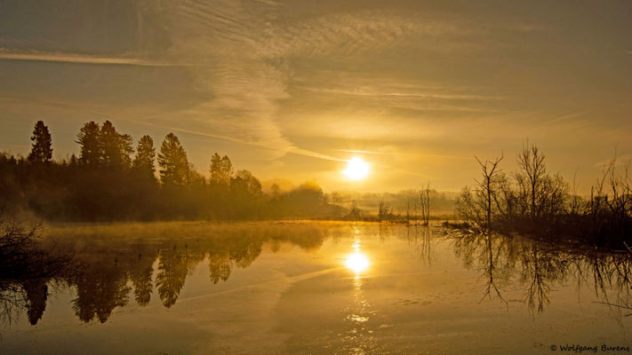 Biberteich, 15.04.2023