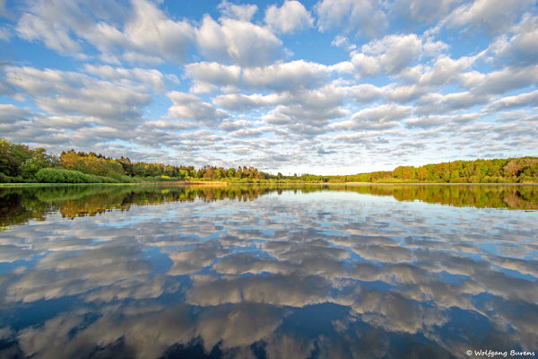 Haidenweiher, 24.05.2021