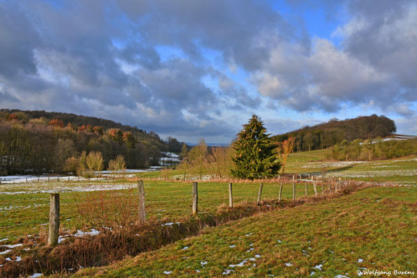 "Tauwetter", Stahlhofer Wies 09.02.2019
