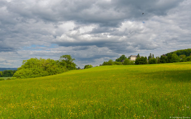 Blick vom NSG Hartenberg auf Schloß Molsberg