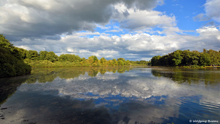 Spätsommer am Hausweiher, 29.08.2020