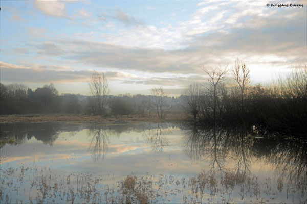 Biberteich, 12.12.2018