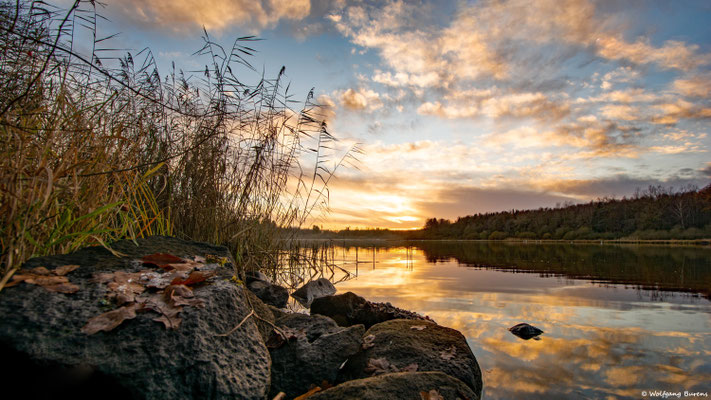 Haidenweiher, 27.11.2021