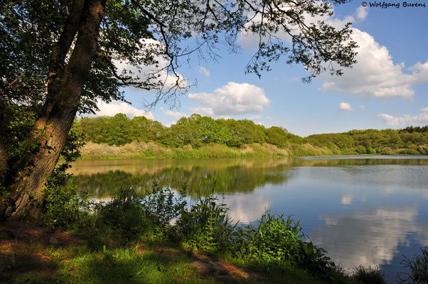 Hofmannsweiher, 25.05.2019