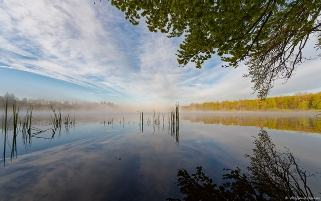 Haidenweiher