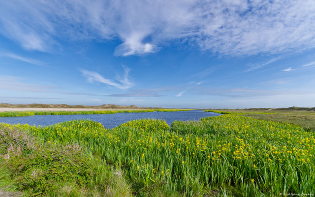 Nationalpark Dünen von Texel