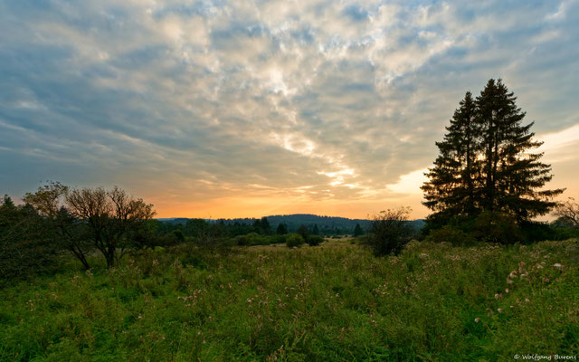 Blick ins Derschener Geschwemm, 17.09.2021