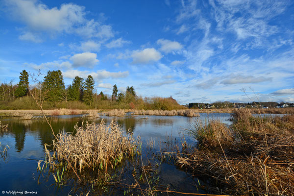 Biberteich, 31.01.2020