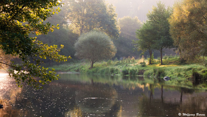 Große Nister, Heimborn