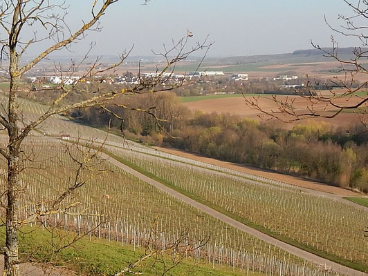 Blick vom Reisenberg auf Langwiesen