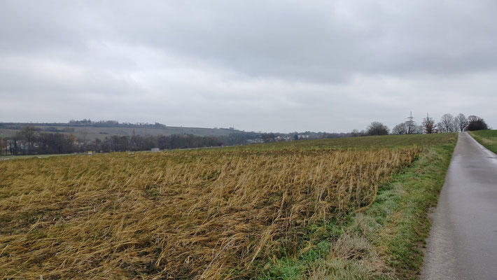 Bedrohtes Feld