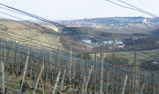 Der Steinbruch vom Felswerk oberhalb von Roßwag aus gesehen