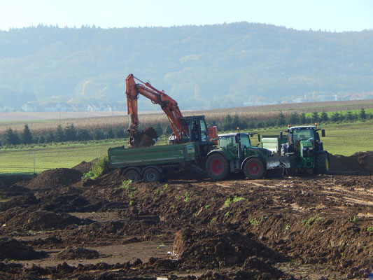 26.10.2019, Beteiligung der Bauern beim Fleddern von Ackerland