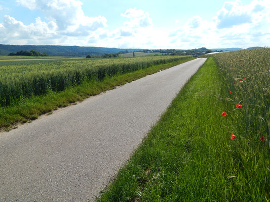 Weitere Felder für Gewerbe am Radweg Richtung Pfaffenhofen