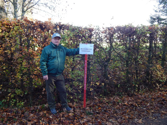 ... wird durch ein Stückle und Hecke gebaut ...