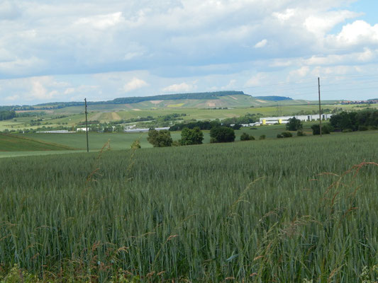Hallenlandschaft mit Taxis
