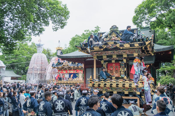 全国植樹祭秩父市記念事業（秩父神社境内の様子）
