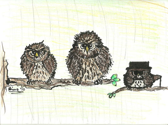 "Birds" - Rohrfeder und Aquarellstift - 2010