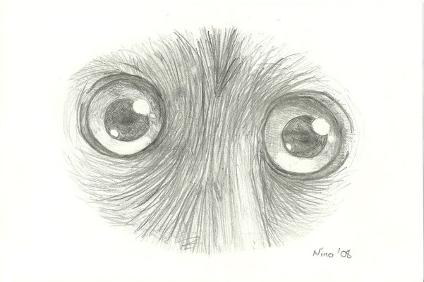 Augen-Studien: "Äffchen" - Bleistift - A5 - 2008