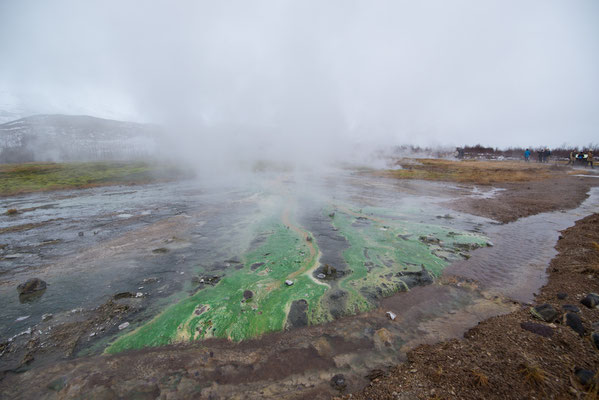 Nella zona di Geyser