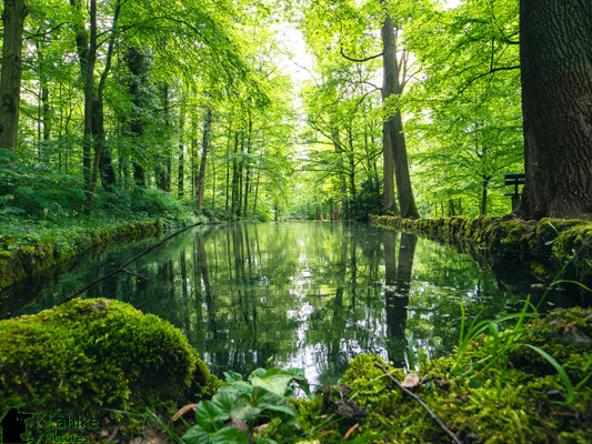 Eremitage Bayreuth Teich