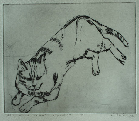 Eva Hradil WEISS MALEN "Katze" Zustand 1, Auflage: 3 Exemplare, Plattengröße 21 x 25 cm