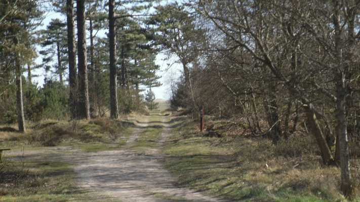 Im Naturschutzgebiet "Skallingen"