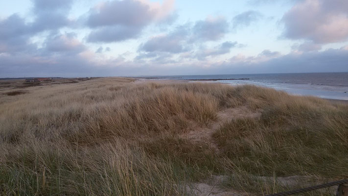 Die Dünen bei Hvidberg Strand