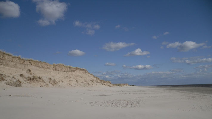 Strand Skallingen